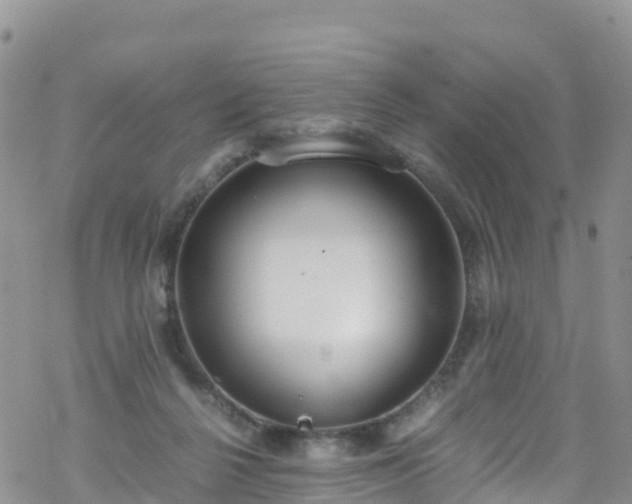 X0000069410264200605192311