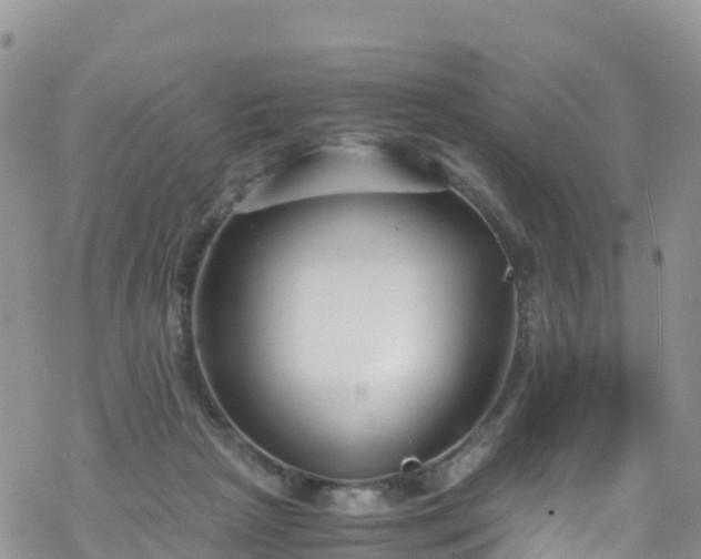 X0000069410265200605192311