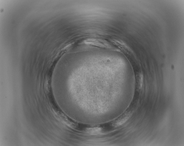 X0000069410266200605192311