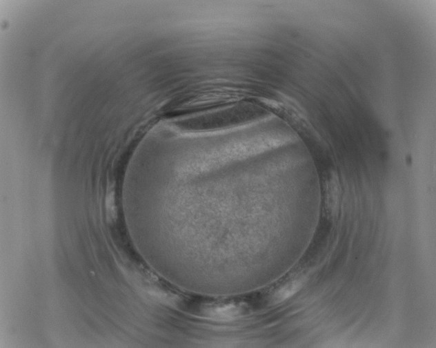 X0000069410267200605192311