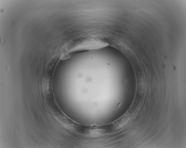 X0000069410268200605192311