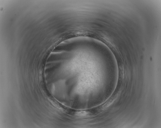 X0000069410269200605192311