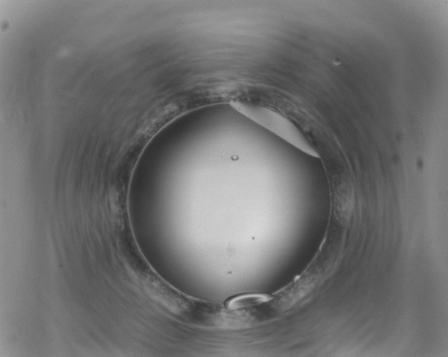 X0000069410270200605192311