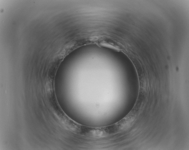 X0000069410272200605192311