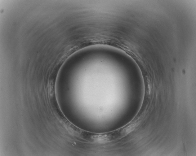 X0000069410273200605192311