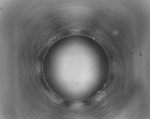 X0000069410274200605192311