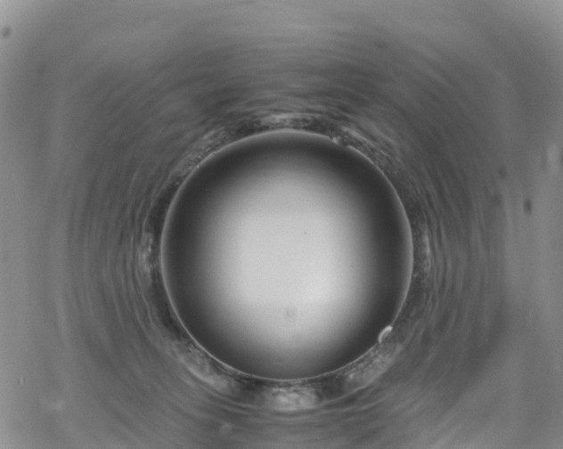 X0000069410275200605192311