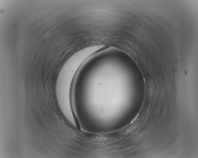 X0000069410276200605192311