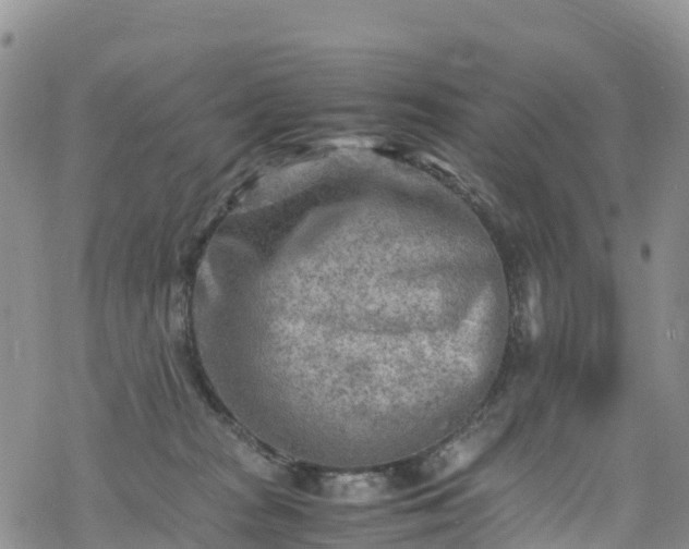 X0000069410277200605192311