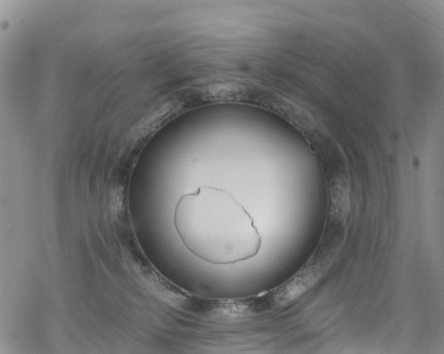 X0000069410278200605192311