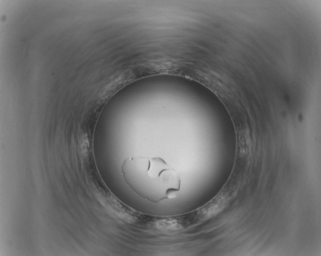 X0000069410279200605192311