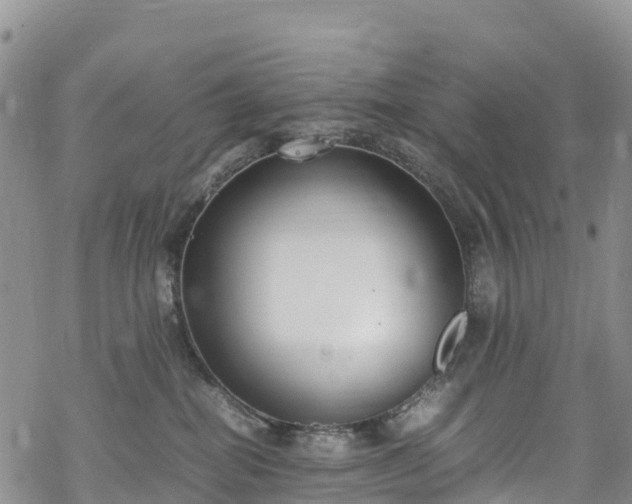 X0000069410282200605192311