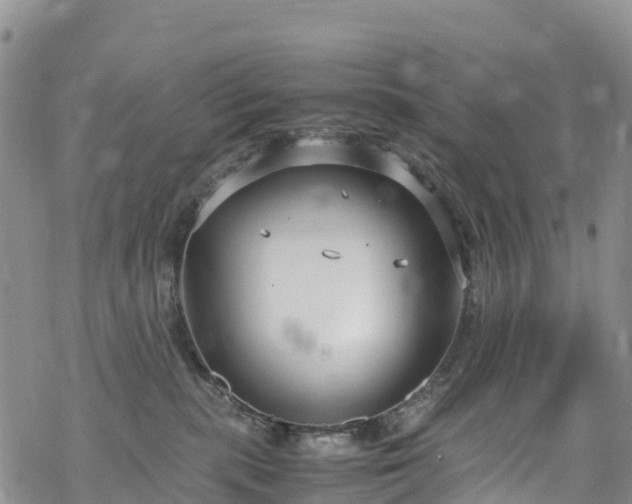 X0000069410283200605192311