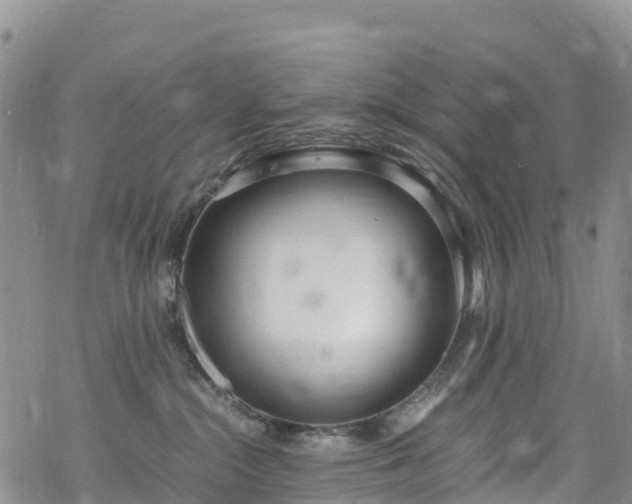 X0000069410284200605192311