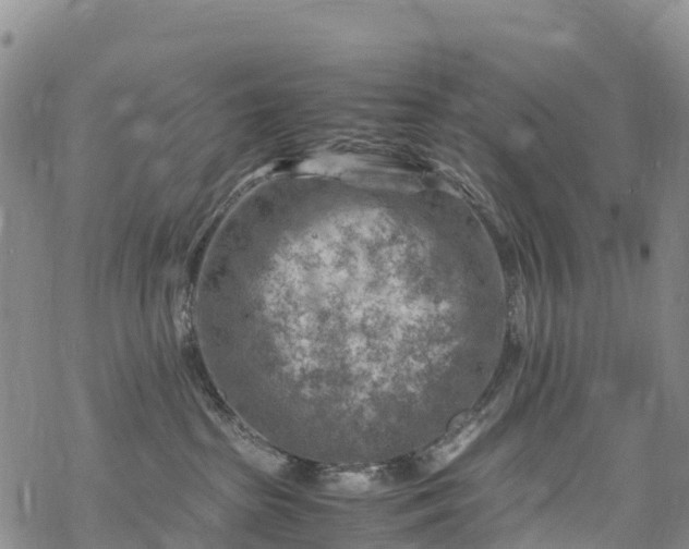 X0000069410285200605192311