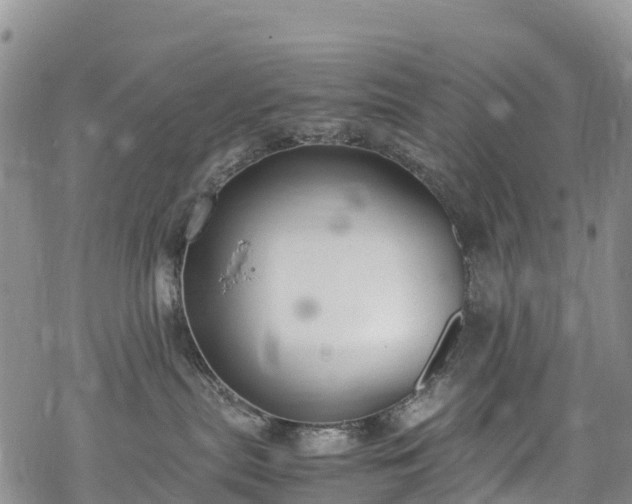 X0000069410287200605192311