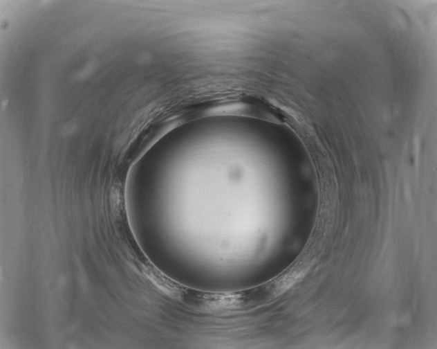 X0000069410288200605192312