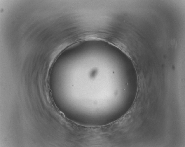 X0000069410289200605192311