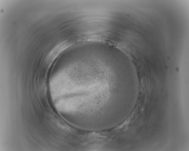 X0000069410290200605192311