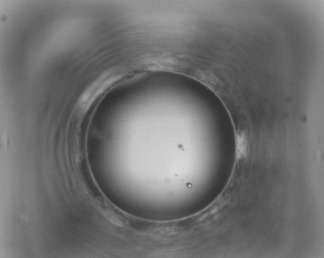 X0000069410291200605192311