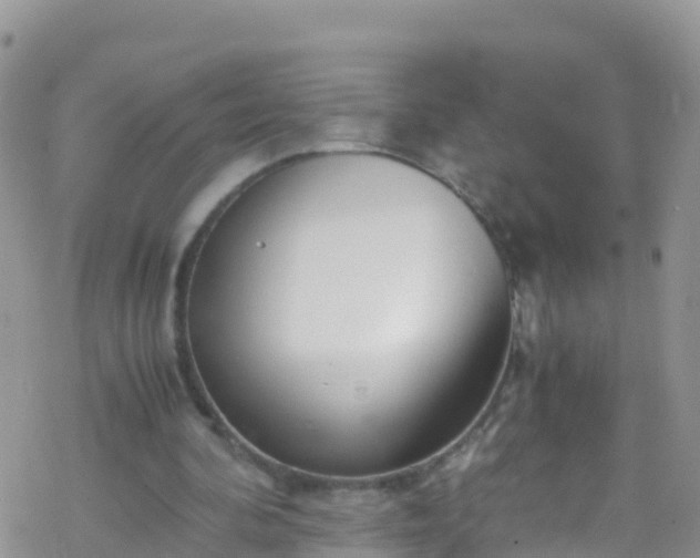 X0000069410292200605192311