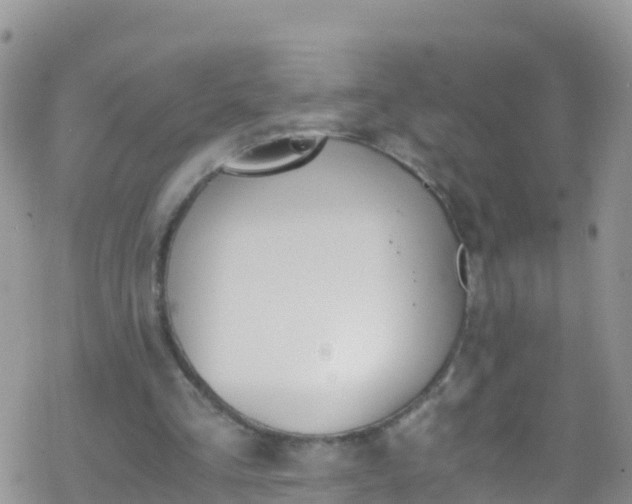 X0000069410293200605192311