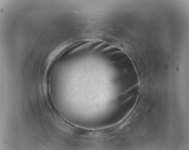 X0000069410294200605192311