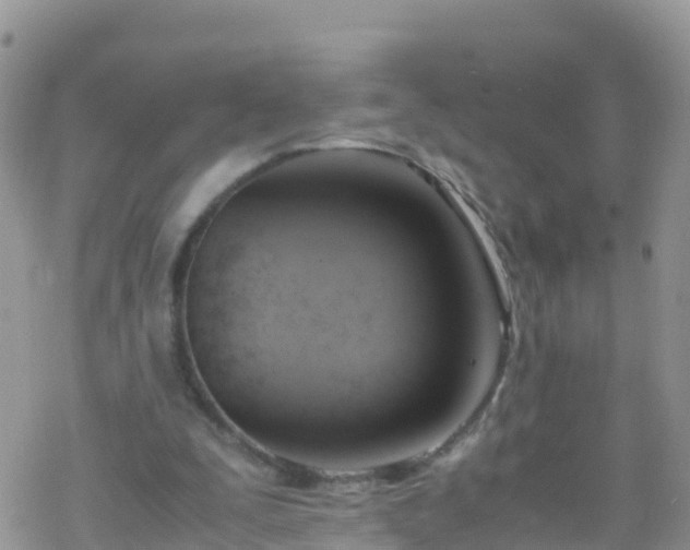 X0000069410295200605192311