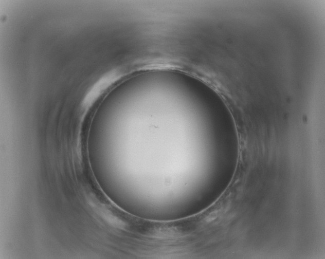 X0000069410296200605192311