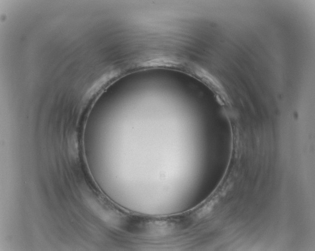 X0000069410298200605192311