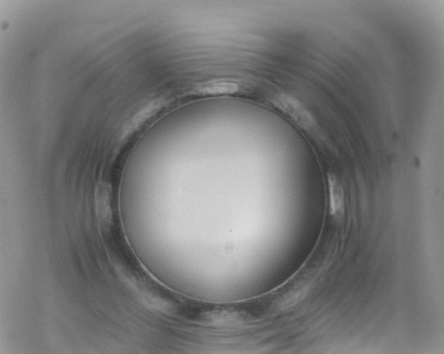 X0000069410300200605192311