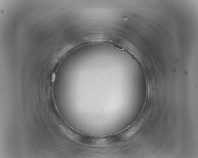 X0000069410301200605192311