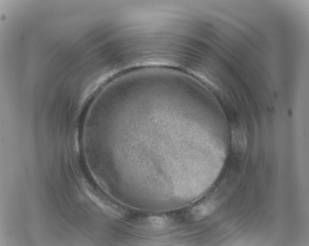 X0000069410302200605192311