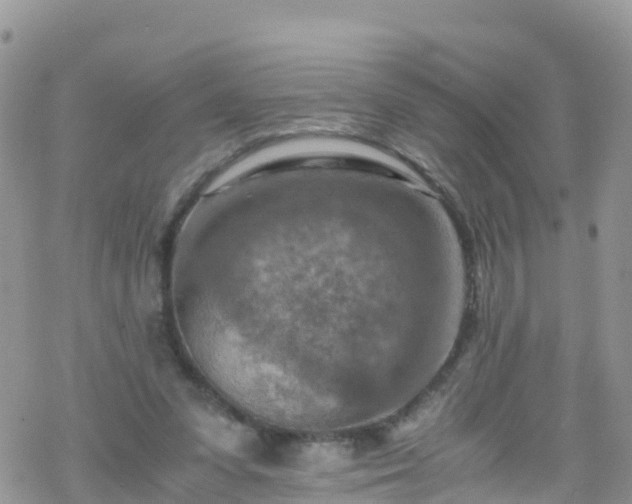 X0000069410303200605192310