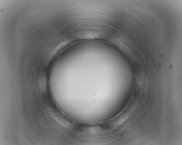 X0000069410304200605192310