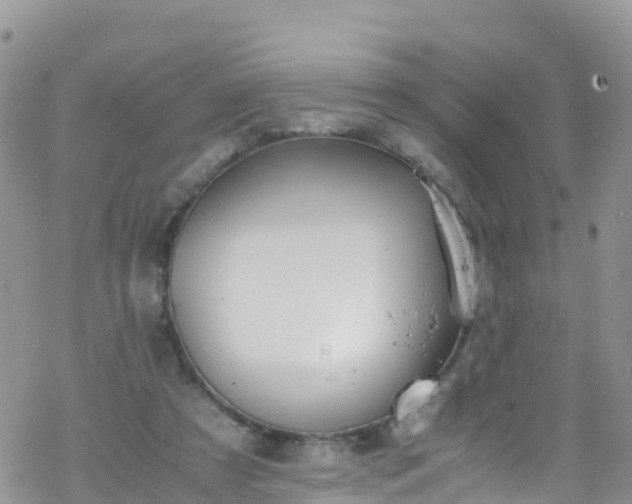 X0000069410305200605192310