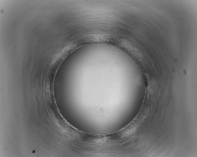 X0000069410306200605192310