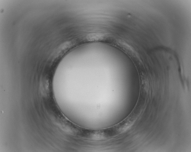 X0000069410308200605192310