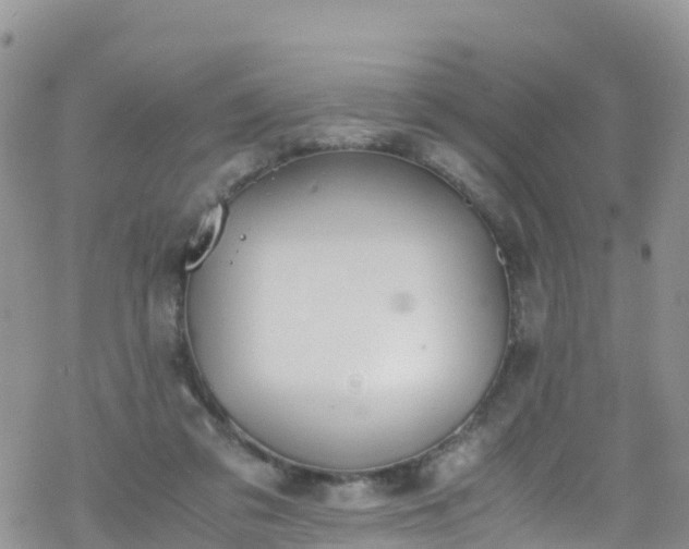 X0000069410309200605192310