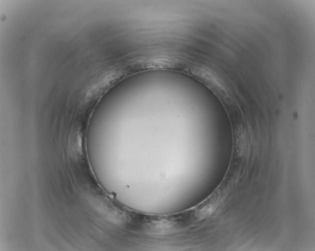 X0000069410310200605192310