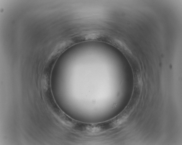 X0000069410311200605192310