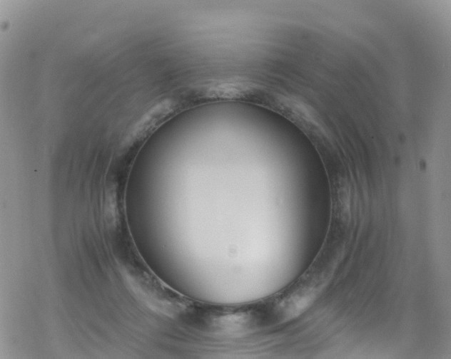 X0000069410312200605192310