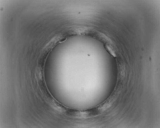 X0000069410313200605192310