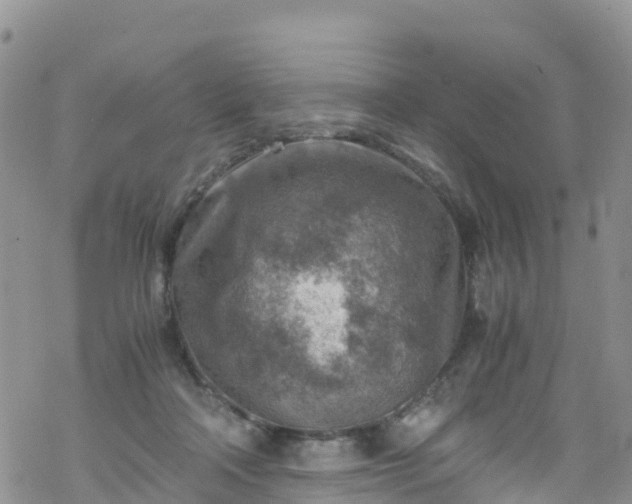 X0000069410314200605192310