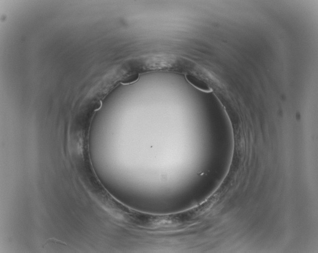 X0000069410315200605192310