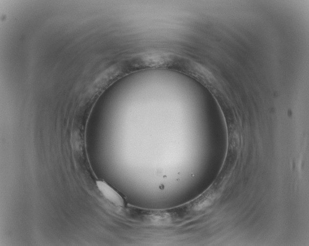 X0000069410317200605192310