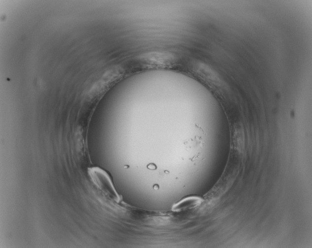 X0000069410318200605192310