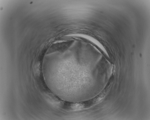 X0000069410319200605192310