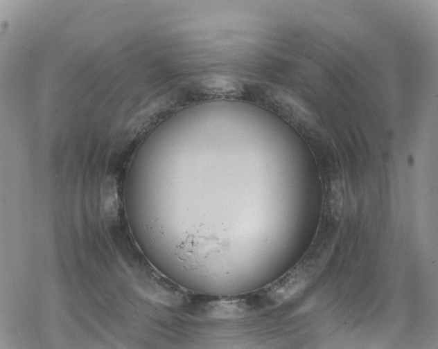 X0000069410320200605192310