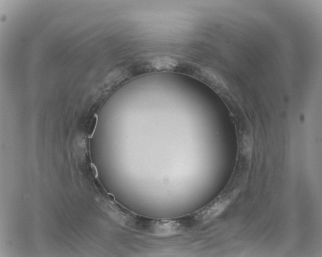 X0000069410321200605192310